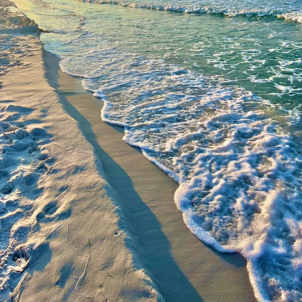 Meet your Posher, Whitney